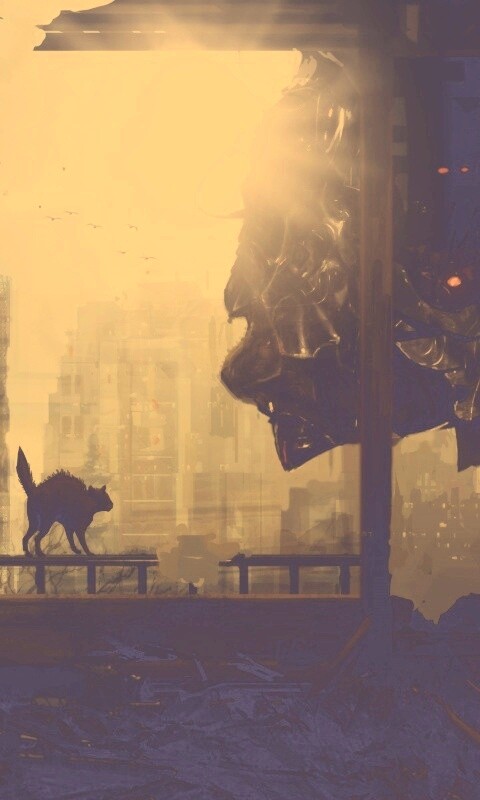 Кошкино удивление обои