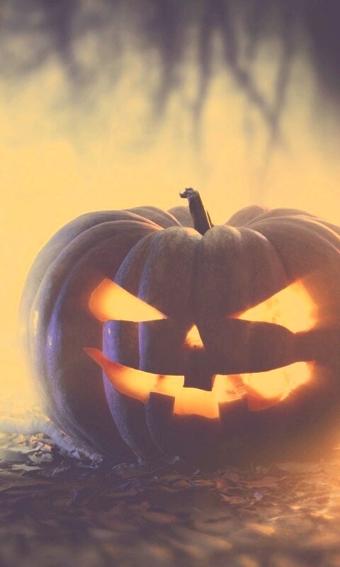 Хэллоуинская тыква обои
