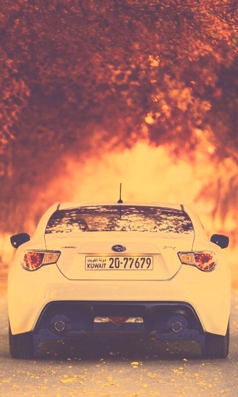 Субару на осенней дороге обои