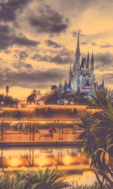 Диснеёленд вечером обои