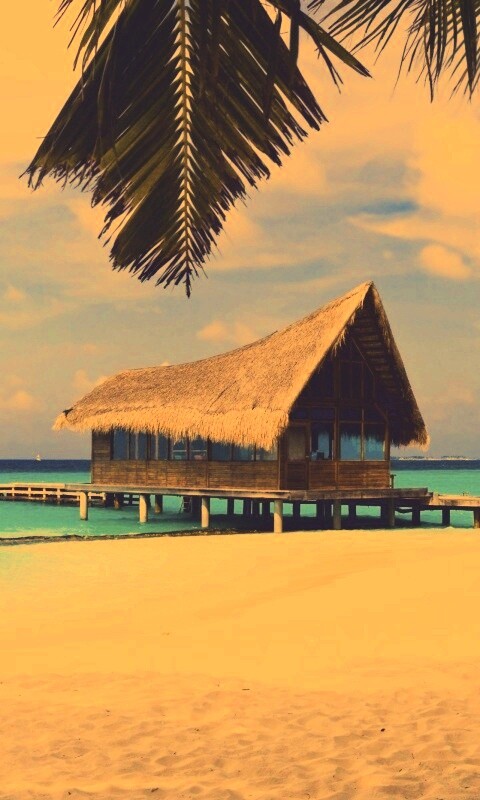 Бунгало обои