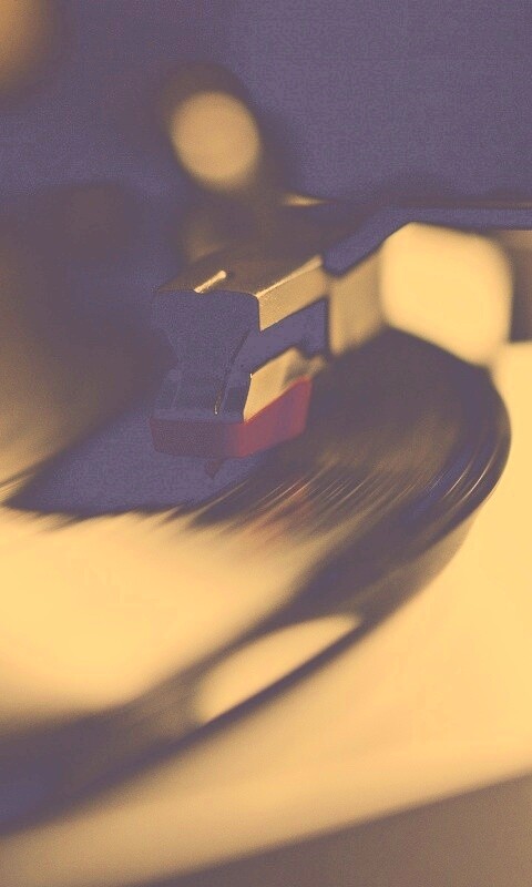 Пластинка обои