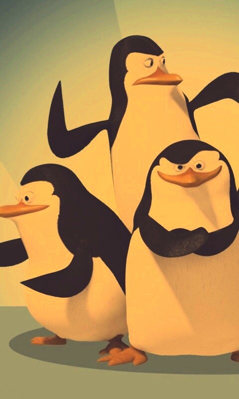 Мадагаскарские пингвины обои