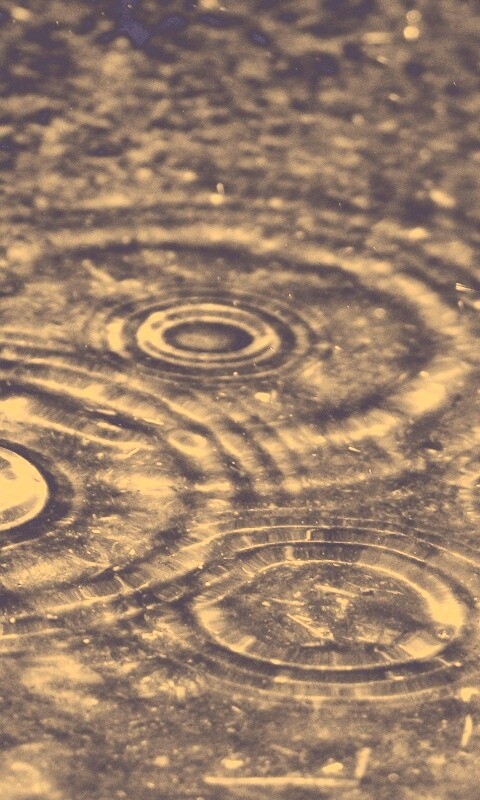 Круги на воде обои