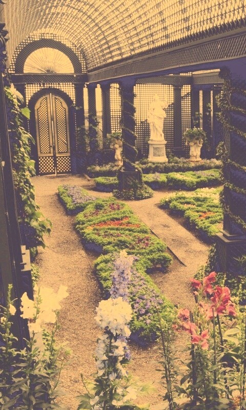 Оранжерея обои