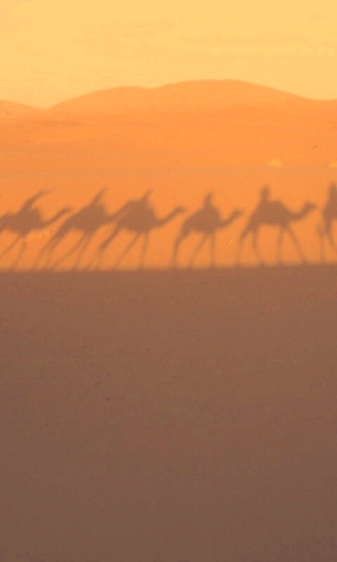 Караван обои