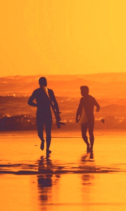 Серфингисты обои