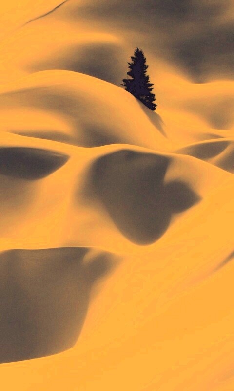 Снежная долина обои