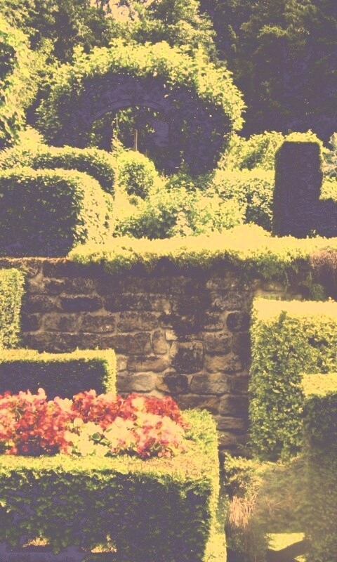 Декоративный сад обои