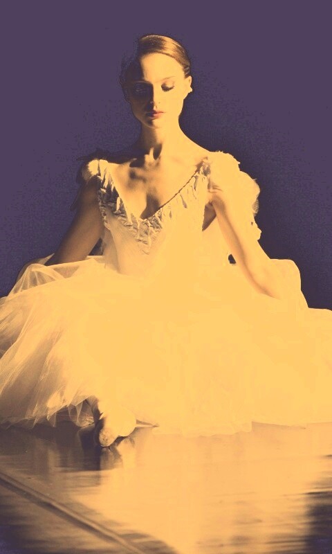 Черный лебедь обои