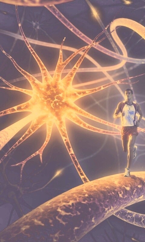 Бег мыслей обои