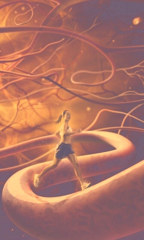 Бег крови обои