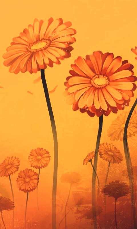 Векторные ромашки обои