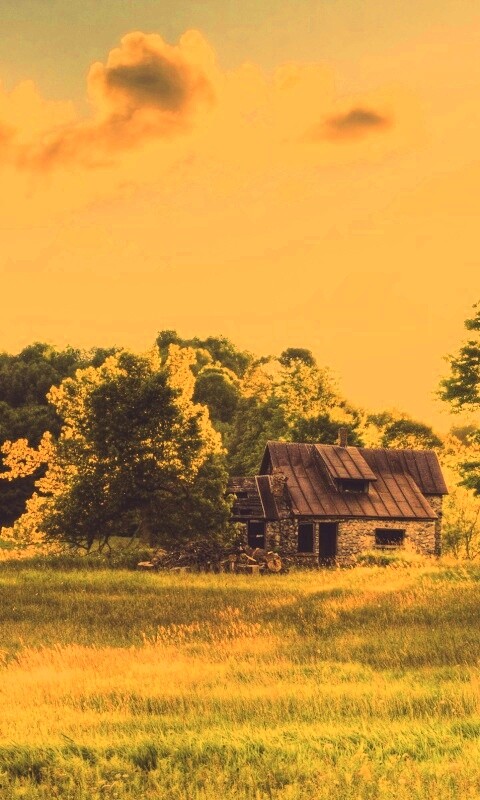 Домик в лесу обои