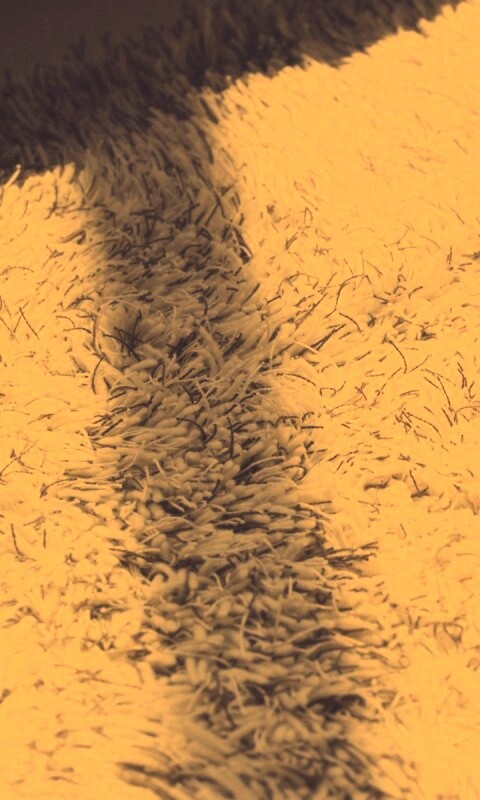 Книга на полу обои