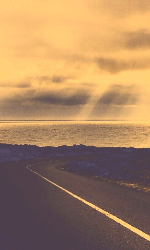 Дорога обои