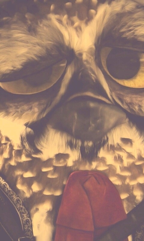 Совы-мариачи из Ранго обои