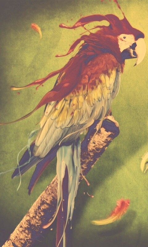 Попугай на ветке обои