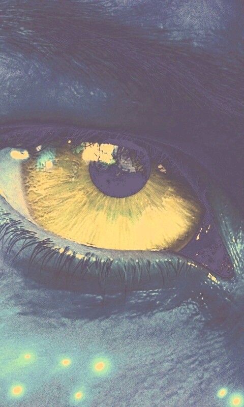 Смотрит прямо в душу обои