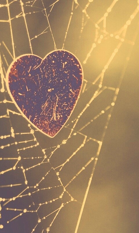 Запутавшаяся любовь.. обои