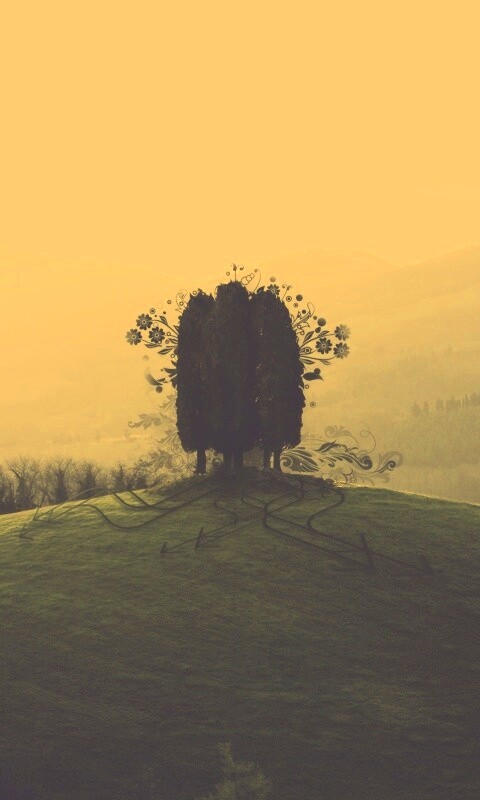 Деревья на холме обои