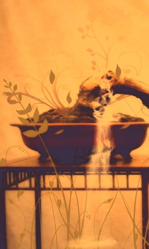 Карликовое дерево обои