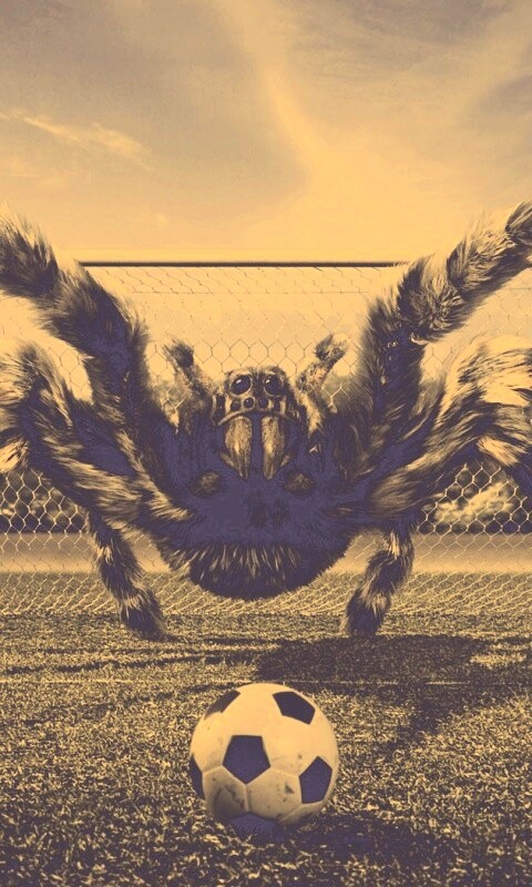 Вратарь обои