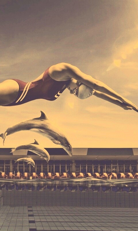 Соревнование обои