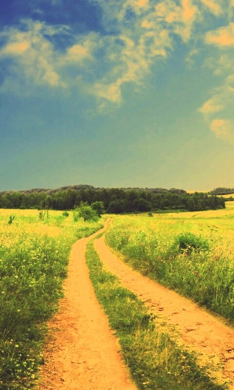 Дорога через луг обои