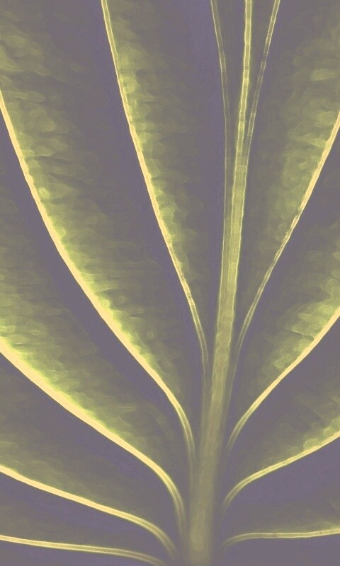 Неоновый лист обои