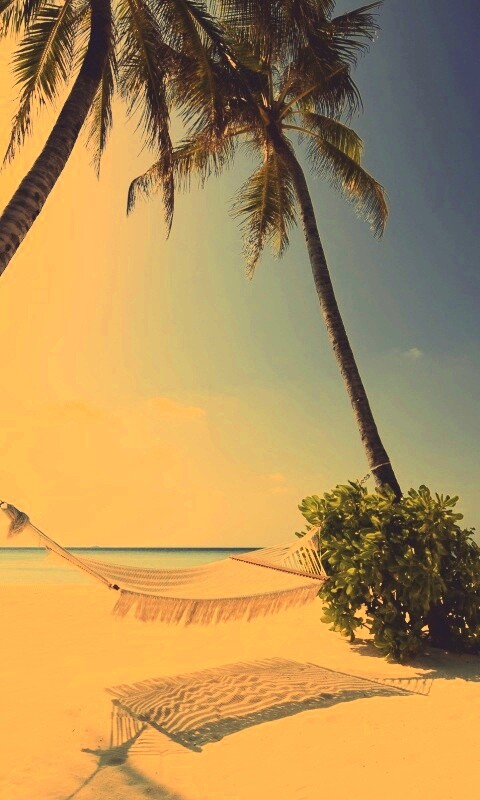 Тропический рай обои