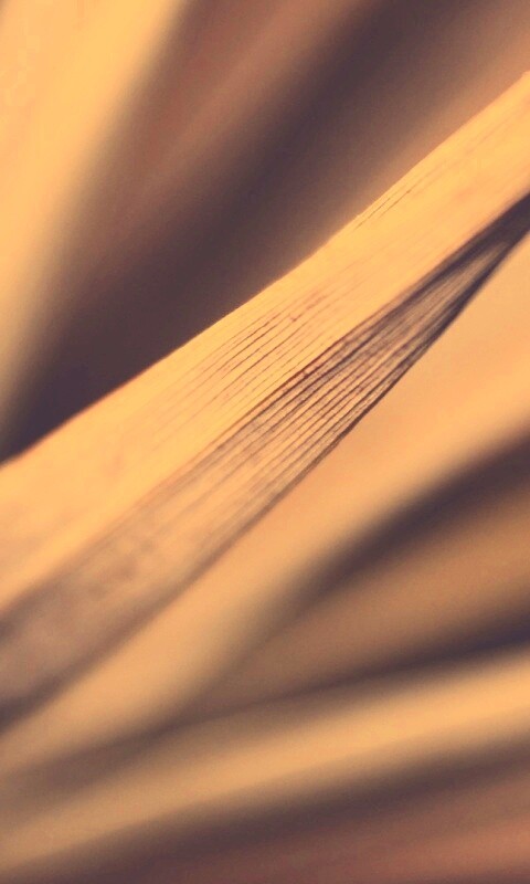 Сухое растение обои