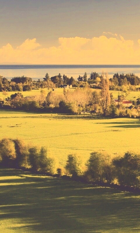 Сельская природа обои