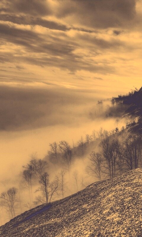 Туманные горы обои