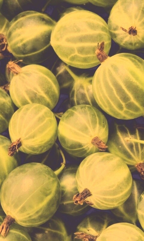 Зелёный крыжовник обои