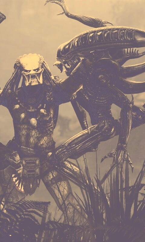 Чужой против Хищника обои