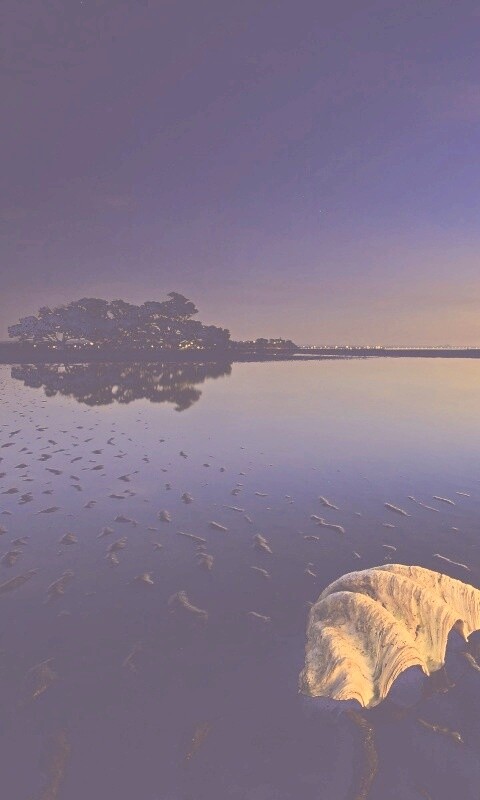 Закат на берегу моря обои