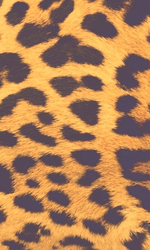 Шкура гепарда обои