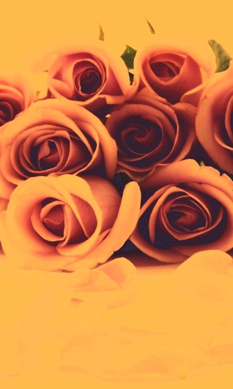 Букет роз обои