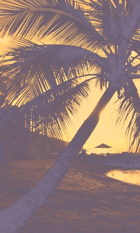 Пляж на закате обои