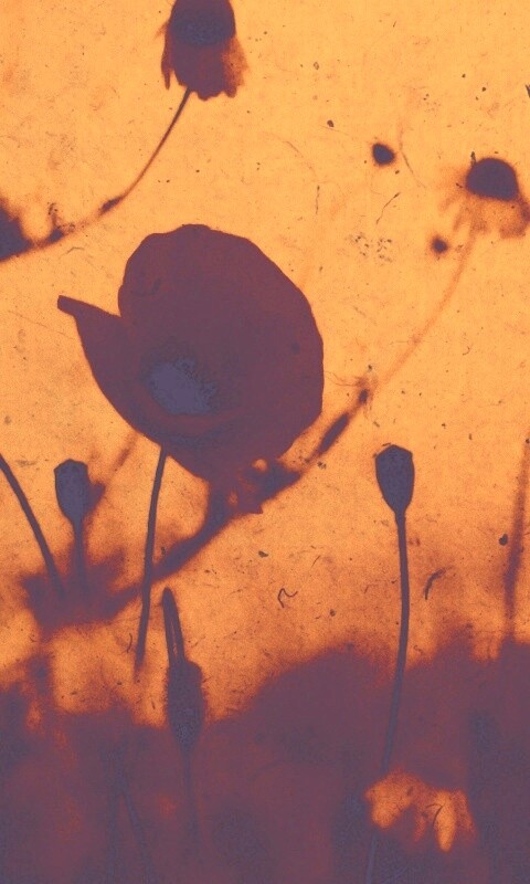 Кровавые цветы в стиле ретро обои