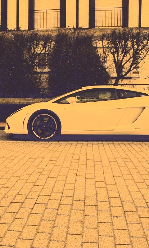 Белый Lamborghini обои