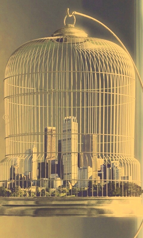 Город в клетке обои