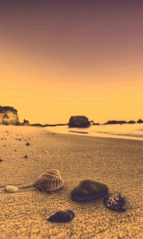 Океанский берег обои