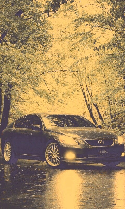 Лексус на лесной дороге обои