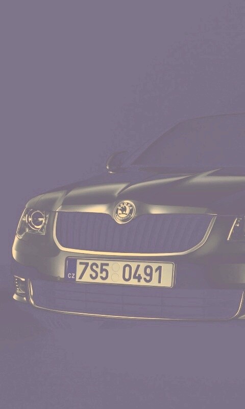 Шкода в темноте обои