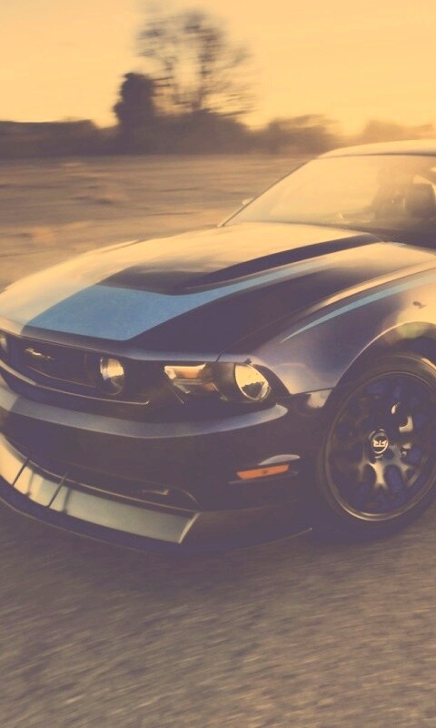 Ford Mustang обои