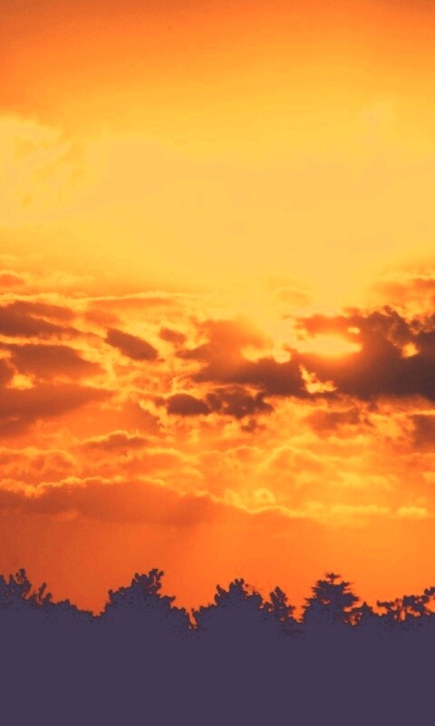 Ярко-оранжевое закатное небо обои
