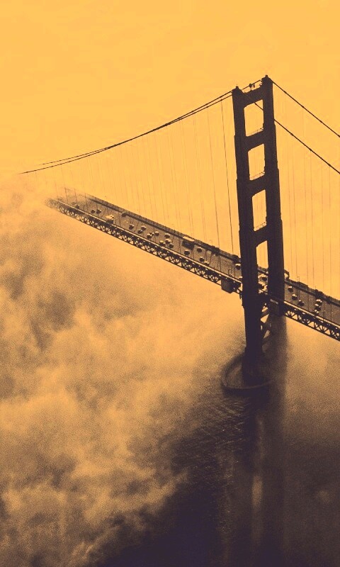 Мост Золотые ворота утопает в тумане обои