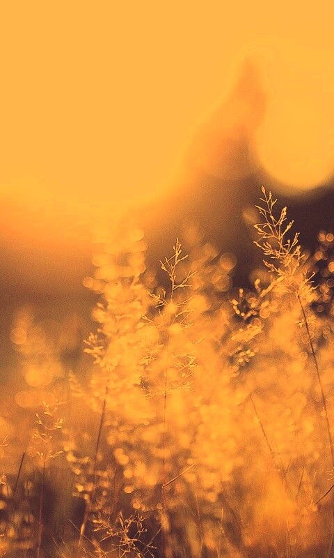 Посмотри на этот мир обои